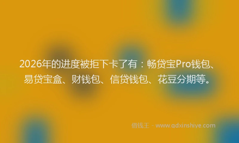 2026年的进度被拒下卡了有：畅贷宝Pro钱包、易贷宝盒、财钱包、信贷钱包、花豆分期等。