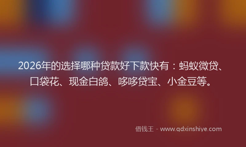 2026年的选择哪种贷款好下款快有：蚂蚁微贷、口袋花、现金白鸽、哆哆贷宝、小金豆等。