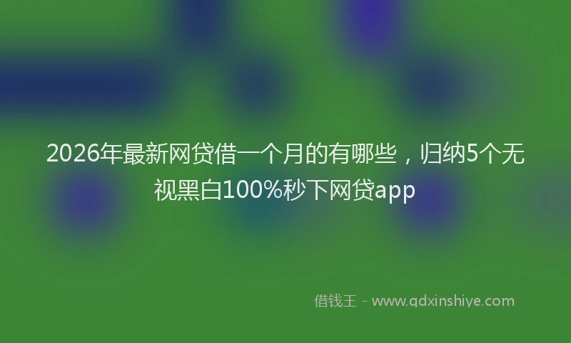 2026年最新网贷借一个月的有哪些，归纳5个无视黑白100%秒下网贷app