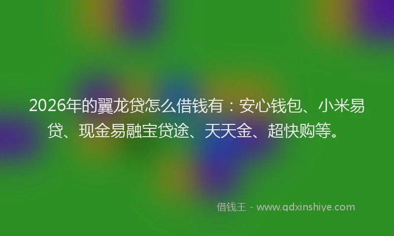 2026年的翼龙贷怎么借钱有：安心钱包、小米易贷、现金易融宝贷途、天天金、超快购等。
