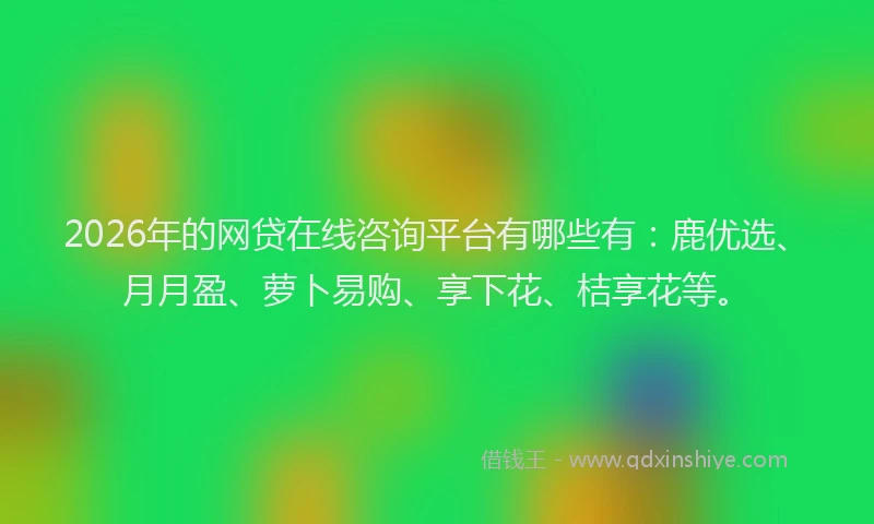 2026年的网贷在线咨询平台有哪些有：鹿优选、月月盈、萝卜易购、享下花、桔享花等。