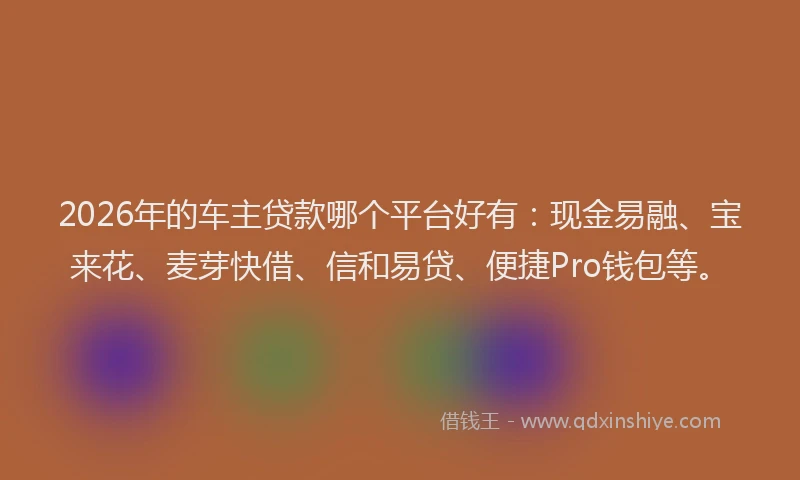 2026年的车主贷款哪个平台好有：现金易融、宝来花、麦芽快借、信和易贷、便捷Pro钱包等。