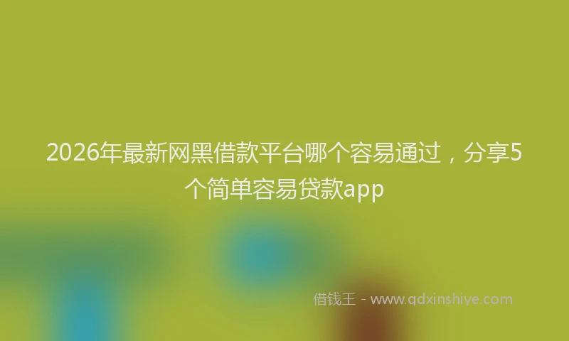 2026年最新网黑借款平台哪个容易通过，分享5个简单容易贷款app