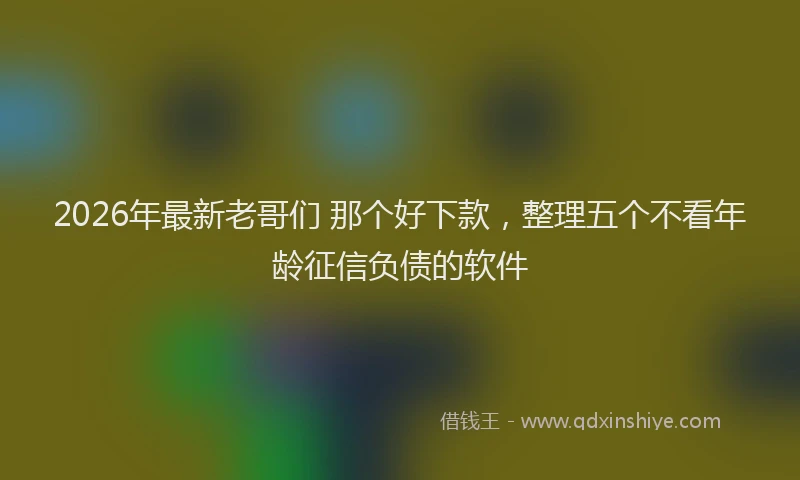 2026年最新老哥们 那个好下款，整理五个不看年龄征信负债的软件