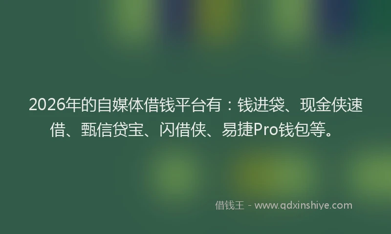 2026年的自媒体借钱平台有：钱进袋、现金侠速借、甄信贷宝、闪借侠、易捷Pro钱包等。