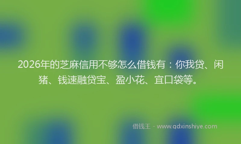 2026年的芝麻信用不够怎么借钱有：你我贷、闲猪、钱速融贷宝、盈小花、宜口袋等。