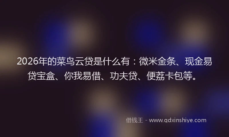 2026年的菜鸟云贷是什么有：微米金条、现金易贷宝盒、你我易借、功夫贷、便荔卡包等。