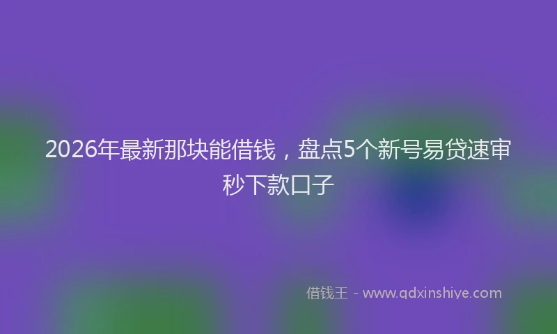 2026年最新那块能借钱，盘点5个新号易贷速审秒下款口子