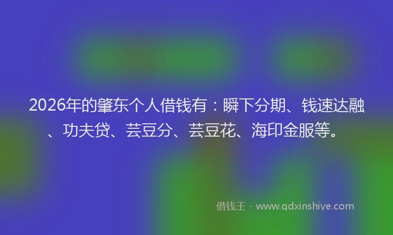 2026年的肇东个人借钱有：瞬下分期、钱速达融、功夫贷、芸豆分、芸豆花、海印金服等。
