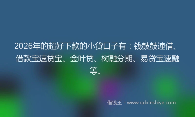 2026年的超好下款的小贷口子有：钱鼓鼓速借、借款宝速贷宝、金叶贷、树融分期、易贷宝速融等。