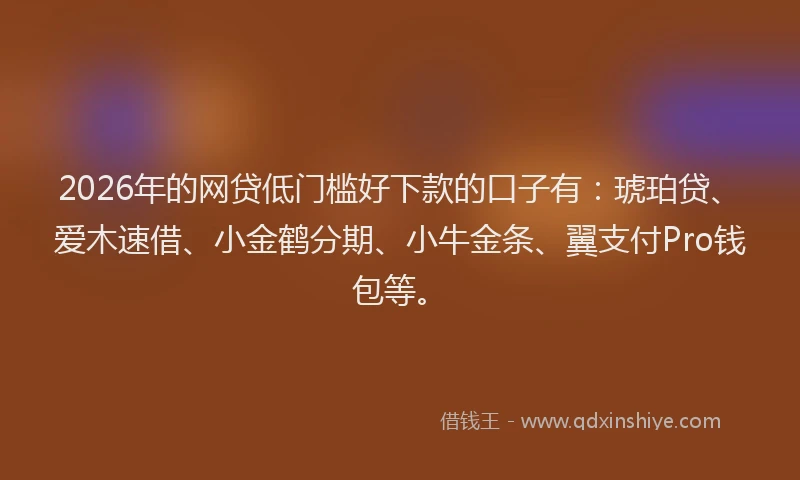 2026年的网贷低门槛好下款的口子有：琥珀贷、爱木速借、小金鹤分期、小牛金条、翼支付Pro钱包等。