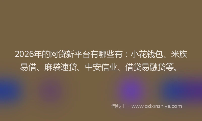 2026年的网贷新平台有哪些有：小花钱包、米族易借、麻袋速贷、中安信业、借贷易融贷等。