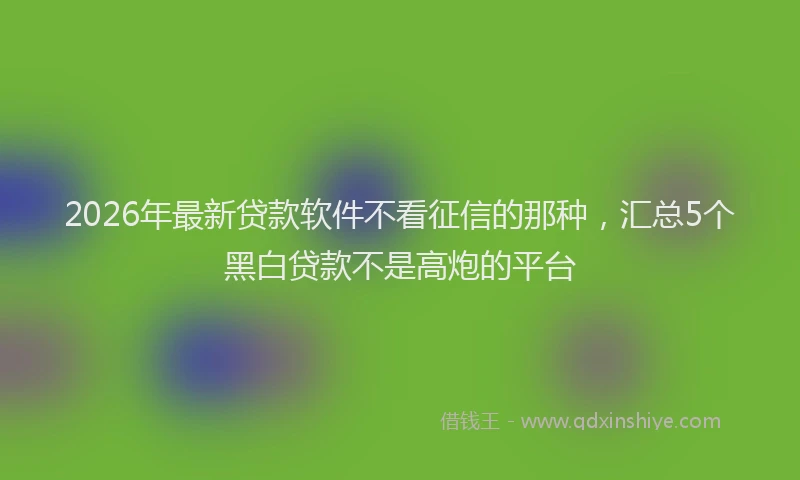 2026年最新贷款软件不看征信的那种，汇总5个黑白贷款不是高炮的平台