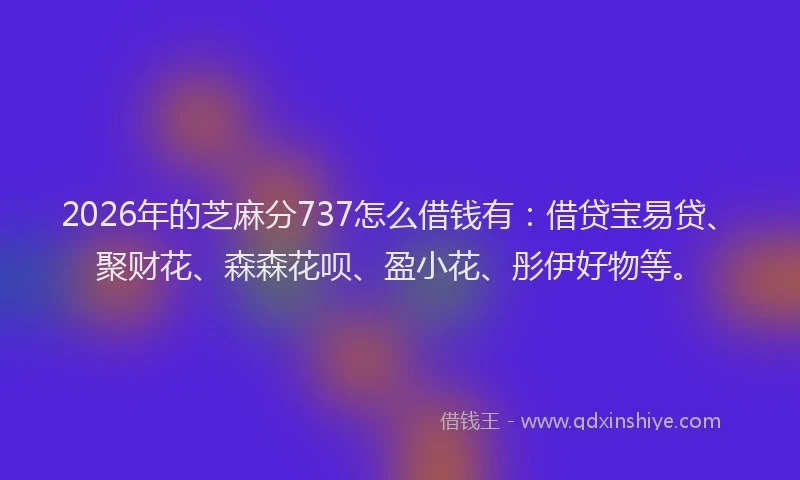 2026年的芝麻分737怎么借钱有：借贷宝易贷、聚财花、森森花呗、盈小花、彤伊好物等。
