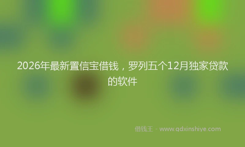 2026年最新置信宝借钱，罗列五个12月独家贷款的软件