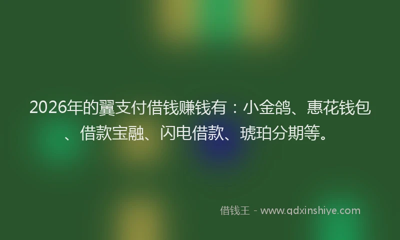 2026年的翼支付借钱赚钱有：小金鸽、惠花钱包、借款宝融、闪电借款、琥珀分期等。