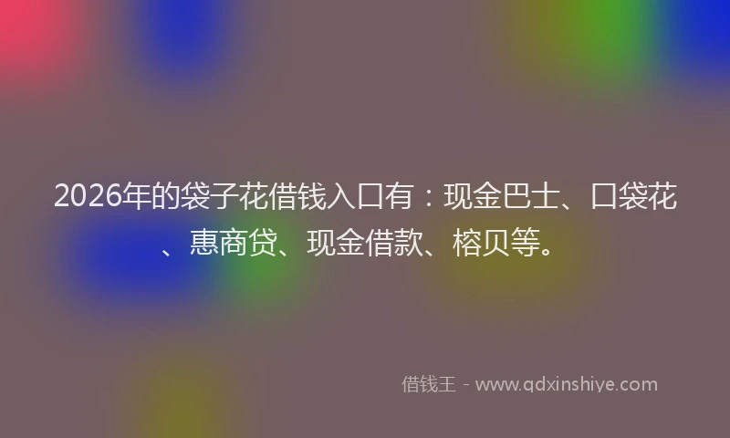 2026年的袋子花借钱入口有：现金巴士、口袋花、惠商贷、现金借款、榕贝等。