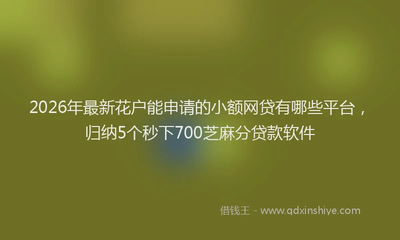 2026年最新花户能申请的小额网贷有哪些平台，归纳5个秒下700芝麻分贷款软件