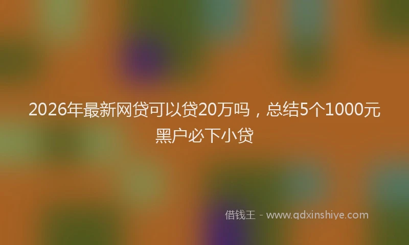2026年最新网贷可以贷20万吗，总结5个1000元黑户必下小贷
