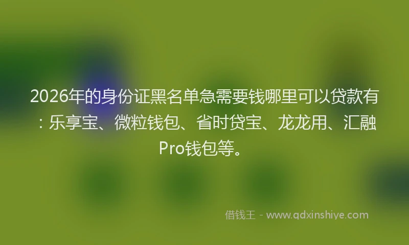 2026年的身份证黑名单急需要钱哪里可以贷款有：乐享宝、微粒钱包、省时贷宝、龙龙用、汇融Pro钱包等。