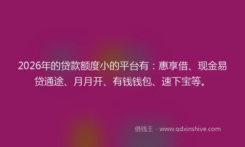 2026年的贷款额度小的平台有：惠享借、现金易贷通途、月月开、有钱钱包、速下宝等。