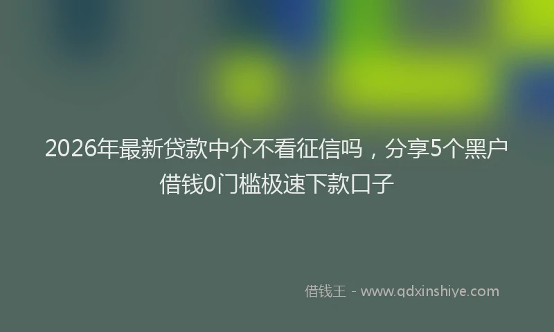 2026年最新贷款中介不看征信吗，分享5个黑户借钱0门槛极速下款口子