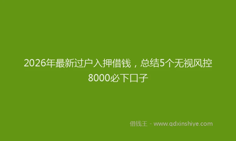 2026年最新过户入押借钱，总结5个无视风控8000必下口子