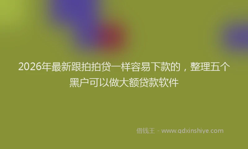2026年最新跟拍拍贷一样容易下款的，整理五个黑户可以做大额贷款软件