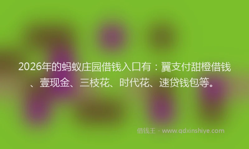 2026年的蚂蚁庄园借钱入口有：翼支付甜橙借钱、壹现金、三枝花、时代花、速贷钱包等。