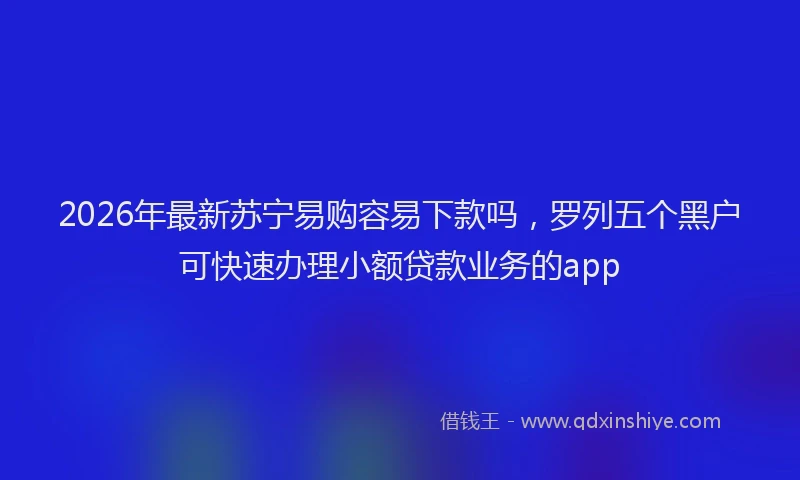 2026年最新苏宁易购容易下款吗，罗列五个黑户可快速办理小额贷款业务的app