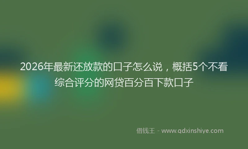 2026年最新还放款的口子怎么说，概括5个不看综合评分的网贷百分百下款口子