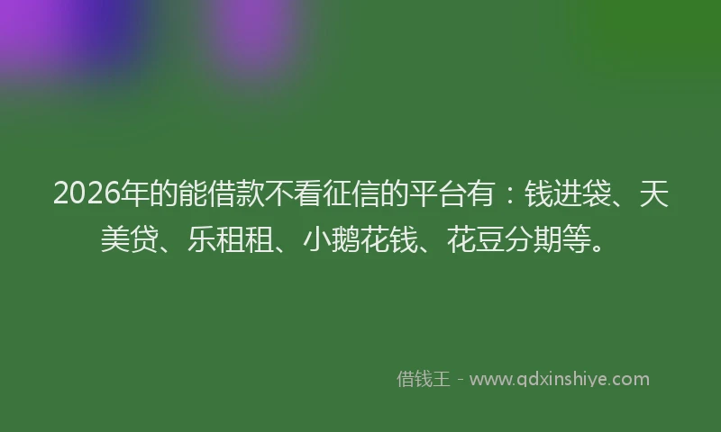 2026年的能借款不看征信的平台有：钱进袋、天美贷、乐租租、小鹅花钱、花豆分期等。