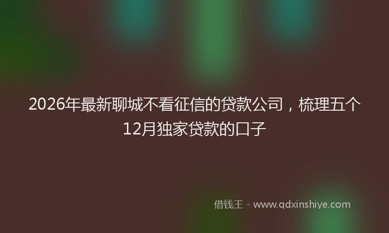 2026年最新聊城不看征信的贷款公司，梳理五个12月独家贷款的口子