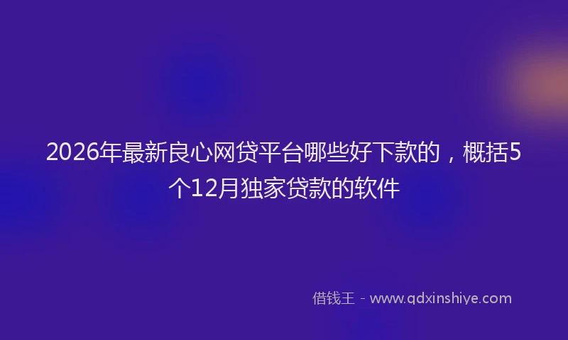 2026年最新良心网贷平台哪些好下款的，概括5个12月独家贷款的软件