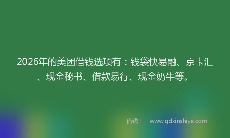 2026年的美团借钱选项有：钱袋快易融、京卡汇、现金秘书、借款易行、现金奶牛等。