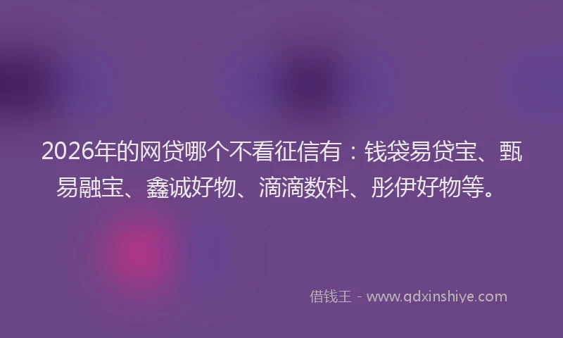 2026年的网贷哪个不看征信有：钱袋易贷宝、甄易融宝、鑫诚好物、滴滴数科、彤伊好物等。