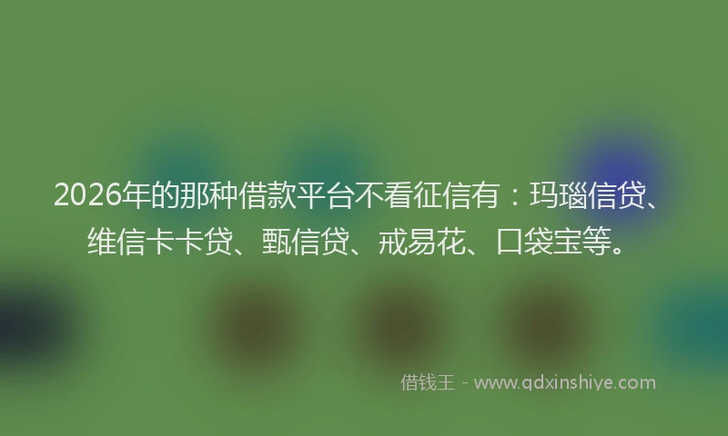 2026年的那种借款平台不看征信有：玛瑙信贷、维信卡卡贷、甄信贷、戒易花、口袋宝等。