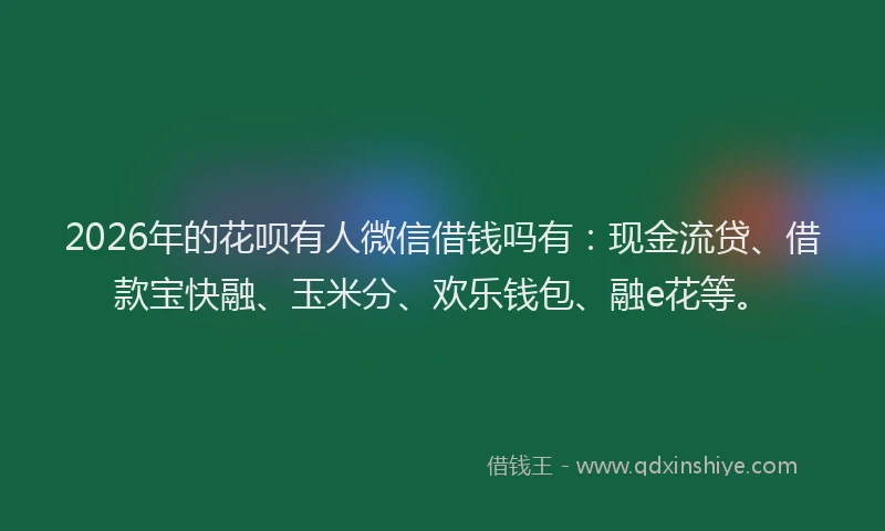 2026年的花呗有人微信借钱吗有：现金流贷、借款宝快融、玉米分、欢乐钱包、融e花等。