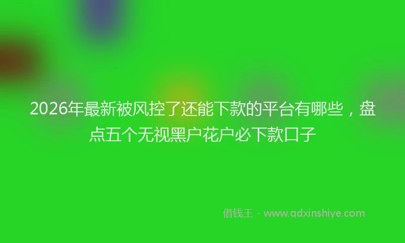 2026年最新被风控了还能下款的平台有哪些，盘点五个无视黑户花户必下款口子
