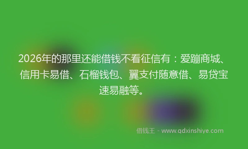 2026年的那里还能借钱不看征信有：爱蹦商城、信用卡易借、石榴钱包、翼支付随意借、易贷宝速易融等。