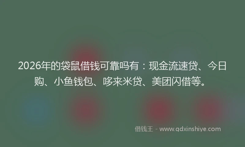 2026年的袋鼠借钱可靠吗有：现金流速贷、今日购、小鱼钱包、哆来米贷、美团闪借等。