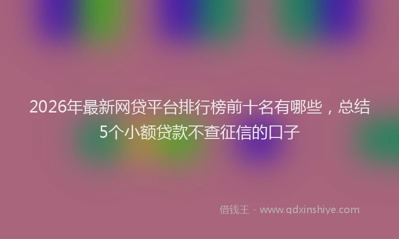 2026年最新网贷平台排行榜前十名有哪些，总结5个小额贷款不查征信的口子