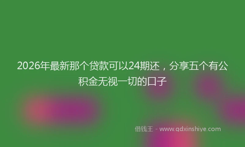 2026年最新那个贷款可以24期还，分享五个有公积金无视一切的口子