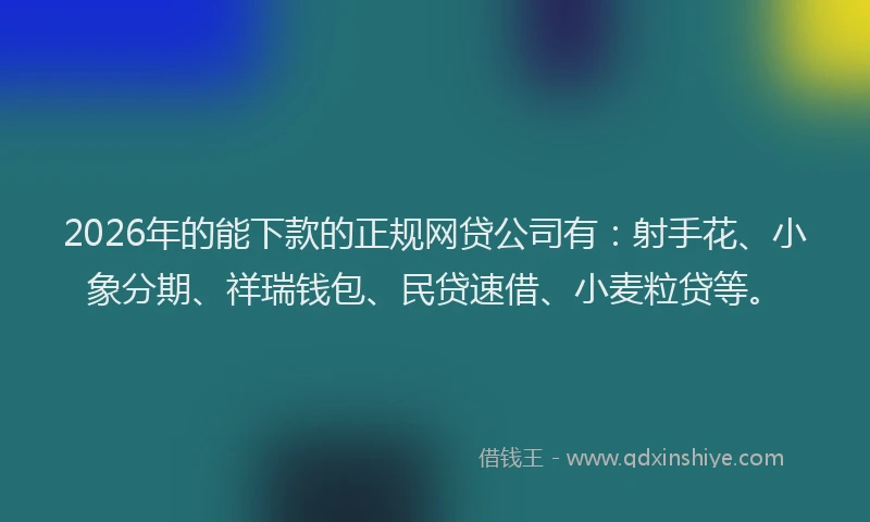 2026年的能下款的正规网贷公司有：射手花、小象分期、祥瑞钱包、民贷速借、小麦粒贷等。