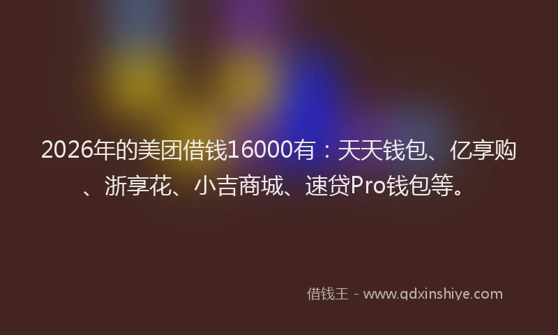 2026年的美团借钱16000有：天天钱包、亿享购、浙享花、小吉商城、速贷Pro钱包等。