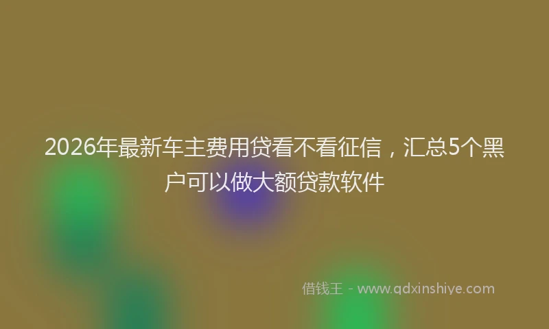 2026年最新车主费用贷看不看征信，汇总5个黑户可以做大额贷款软件