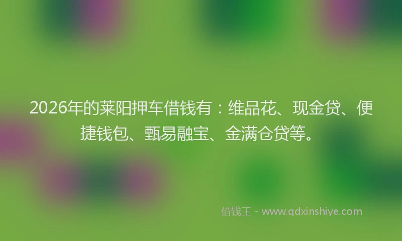 2026年的莱阳押车借钱有：维品花、现金贷、便捷钱包、甄易融宝、金满仓贷等。