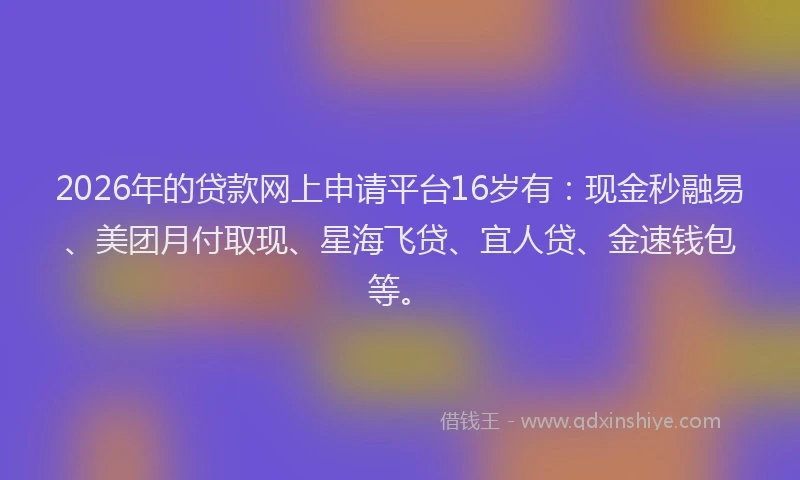 2026年的贷款网上申请平台16岁有：现金秒融易、美团月付取现、星海飞贷、宜人贷、金速钱包等。