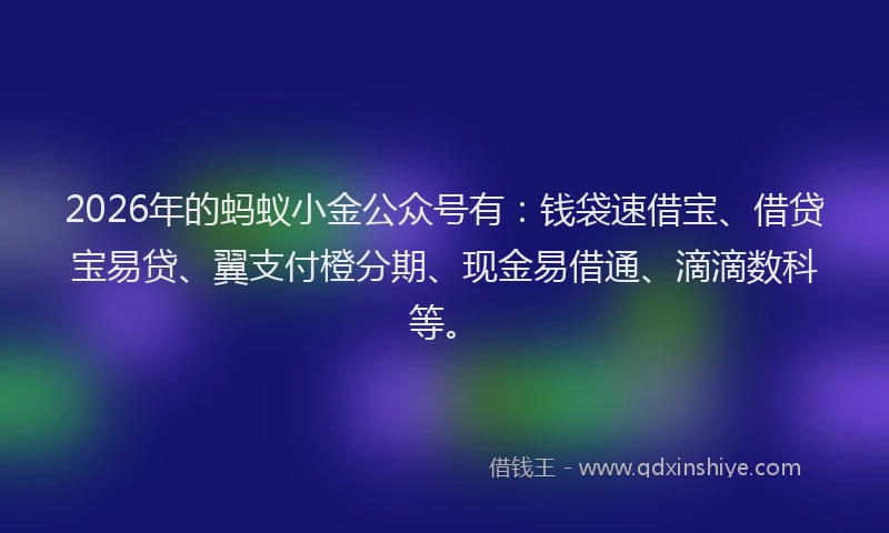 2026年的蚂蚁小金公众号有：钱袋速借宝、借贷宝易贷、翼支付橙分期、现金易借通、滴滴数科等。