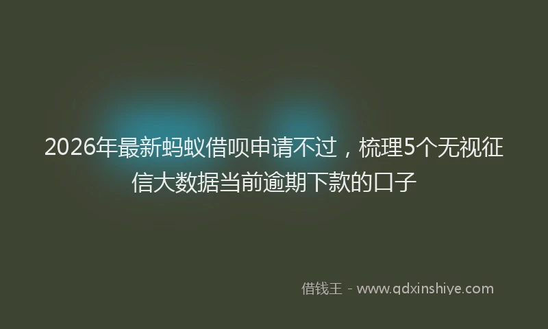 2026年最新蚂蚁借呗申请不过，梳理5个无视征信大数据当前逾期下款的口子